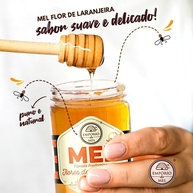 Mel Laranjeira 450g - Empório do Mel - imagem 3