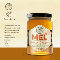 Mel Laranjeira 450g - Empório do Mel - imagem 2