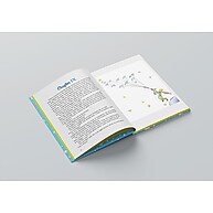 The Little Prince Deluxe Edition – O Clássico que Encanta - imagem 2