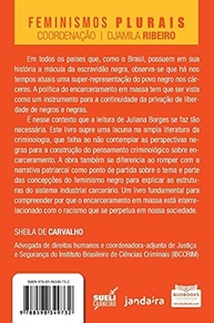 Encarceramento em Massa: Feminismo Negro e Justiça Criminal no Brasil - imagem 3