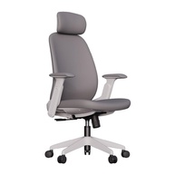 Cadeira Ergonômica Belena com Encosto Mesh, Apoio Lombar e Ajuste de Altura, Espuma 50d, Braços 3D – Conforto e Estética para Ambientes Modernos - imagem 1
