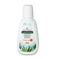 Enxaguante Bucal Herbal: Frescor e Saúde Bucal - imagem 1