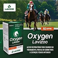Oxygen Lavizoo: Energia e Força para Equinos - imagem 2