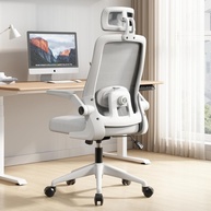 Cadeira de Escritório Ergonômica Premium com Tela Mesh, Ajuste Lombar e Suporte até 120kg - Ideal para Home Office - imagem 1