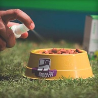 Homeo Pet Real H: Alívio Natural para Erlichiose - imagem 2