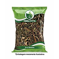 Erva Baleeira: Propriedades e Benefícios da Planta Medicinal - imagem 1