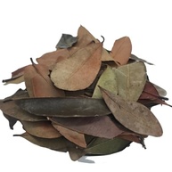 Insulina Vegetal 500Gr (Ervas e Talos) - imagem 2