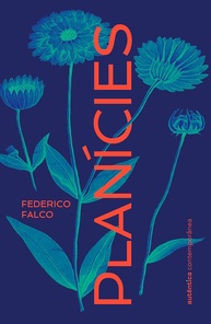 Planícies: Um Romance Delicado Sobre Luto, Tempo e Escrita - imagem 1