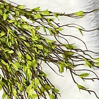 Flor de Salgueiro Artificial: Elegância Sem Esforço - imagem 1