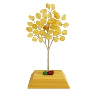 esoterica-a-decoracao-e-base-natural-madeira-pedra-de-arvore-citrino-com-energia-em-a