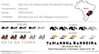 Torra Fresca 05/10/2025 - Café Especial em Grãos Moquinha 1kg 84.50 Pontos - Nanolote Catuai Vermelho– 100% Arábica - Região Vulcânica - Sitio Flor do Marambaia - Torra Média – Tamanduá Bandeira - imagem 3