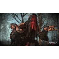 The Witcher 3 PS4: Aventura Épica Te Espera! - imagem 2
