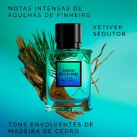 True Instinct: O Perfume Masculino que Revela sua Essência - imagem 2