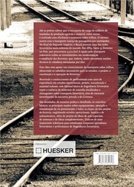 Manual Essencial de Engenharia Ferroviária: Domine os Segredos do Transporte de Cargas e Passageiros - imagem 3
