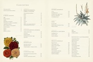 essencial-jardinistas-botanica-a-prospero-guia-para-jardim-o-para-um-a