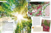 essencial-perfeito-natureza-para-o-revista-guia-e-o-a-mais-jardim-445-a