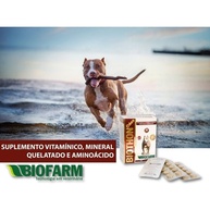 Biothon Cães: Suplemento Vitamínico Essencial - imagem 2