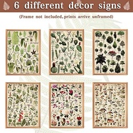 Conjunto de 6 Pôsteres Decorativos Botânicos em Linho - Estampas Vintage de Natureza para Decoração de Parede - imagem 5