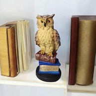 Estátua de Coruja em Resina com Livros - Decoração Inteligente e Simbólica - imagem 2