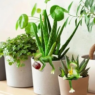 Estatuetas de Sapo em Miniatura - Decoração Encantadora para Vasos e Jardins - imagem 5