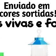 Kit 4 Bebedouros Beija-Flor 250ml Coloridos – Atraia Aves com Estilo - imagem 1