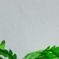 Planta Samambaia Artificial 55cm – Decore Sua Casa com Estilo - imagem 2