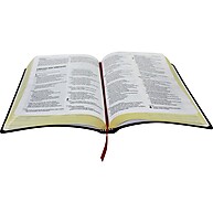 Bíblia Sagrada Capa Luxo Preta NAA – Leitura Diária com Estilo - imagem 2