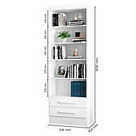 Estante Livreiro Fancy: Organize Seus Livros com Estilo! - imagem 2