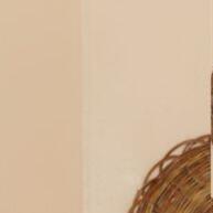Short Jeans Plus Size: Conforto e Estilo! - imagem 2