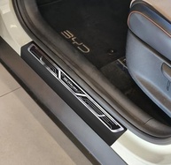 Soleiras Aço Inox Dolphin Mini: Proteção e Estilo Premium para Seu Carro - imagem 3
