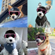 LESYPET: Capacete e Óculos de Sol para Cães Pequenos - Aventura Segura e Estilosa! - imagem 3