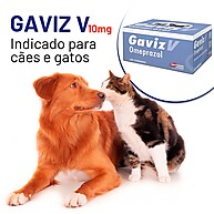 Gaviz V 10mg: Alívio Rápido para o Desconforto Estomacal - imagem 2
