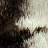 estudos-seus-ilumine-pastel-texto-marca