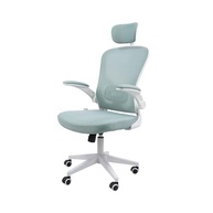 esverdeado-reclinavel-ergonomica-home-cadeira-encosto-office-eurynom-bracos-a-azul-ajustaveis-a