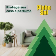 Pinho Sol Limpeza Pesada: Kit 3L Eucalipto - imagem 2