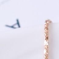 Conjunto Noiva Brilhante: Charme Europeu/Americano - imagem 2