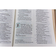 Bíblia do Discipulo NVI: Cresça na Fé e Evangelize - imagem 2