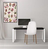 exclusiva-50x70cm-orquideas-arte-botanica-catleias-a-poster-a