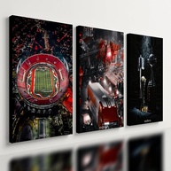 Kit 3 Quadros Decorativos Tricolor São Paulo - Design Exclusivo para Torcedores - imagem 1