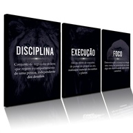 Quadros Decorativos Disciplina Execução Foco Motivacional com Animais - 3 Peças 40x60 cm em MDF Premium - imagem 1