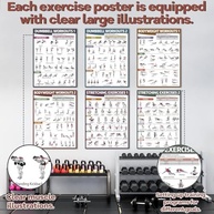 Pôsteres de Exercícios para Academia em Casa - 6 Peças com Ilustrações de Alongamento, Halteres e Peso Corporal - imagem 5