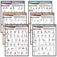 Pôsteres de Exercícios para Academia em Casa - 6 Peças com Ilustrações de Alongamento, Halteres e Peso Corporal - imagem 2
