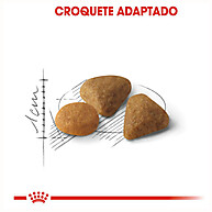 Royal Canin Exigent: Ração para Gatos Exigentes - imagem 2