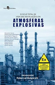 Ciclo de Vida Completo: Segurança em Instalações em Atmosferas Explosivas - imagem 2