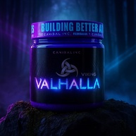 Viking Valhalla: Seu Pré-Treino Explosivo! - imagem 2