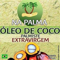Óleo De Coco Na Palma ExtraVirgem 2 potes/500ml cada100% Natural Sem Sabor - imagem 2