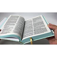 Bíblia NVT Coração Brilhante: Leitura Fácil - imagem 2