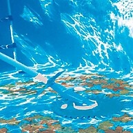 Acrobat: Robô Limpa Piscinas Fácil - imagem 2