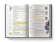 facilitada-menta-jornada-cruz-youversion-a-sua-biblia-ntlh-espiritual-a