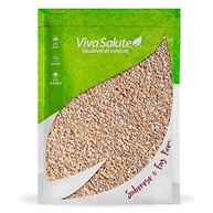 Farelo de Aveia Viva Salute - 500g - imagem 2